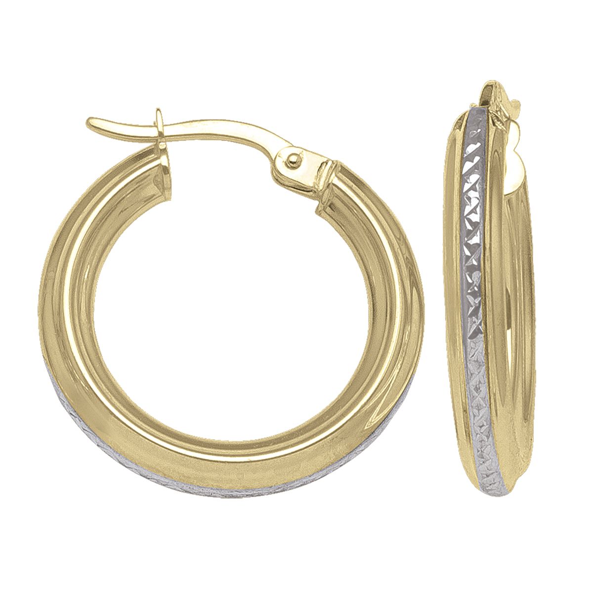 10K Yellow Gold Earrings -TECA18-2T