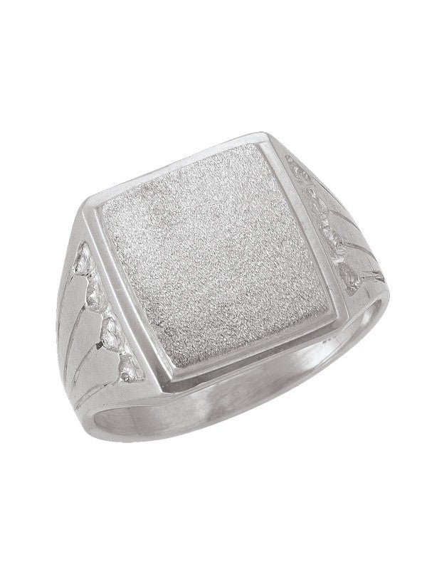 10K White Gold Men's Ring - N6136